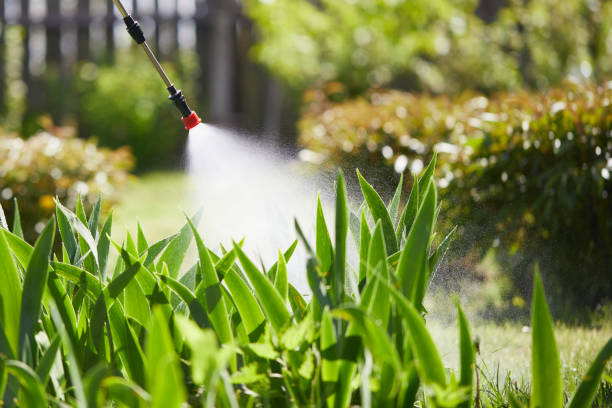 24/7 Emergency Wasp Removal experts in Lakeview, OH