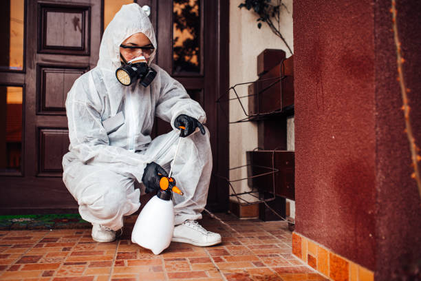 Reliable Wasp Removal contractor in Lakeview, OH by Show Me Pest Control